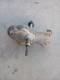 Maytag Washer Transmission